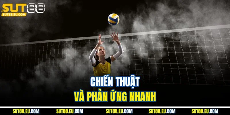 Chiến thuật và phản ứng nhanh 