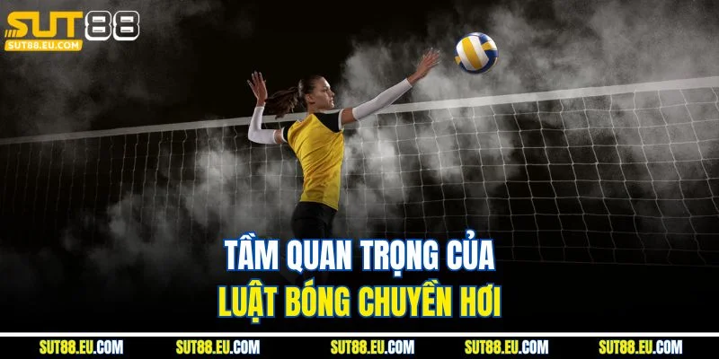 Tầm quan trọng của luật bóng chuyền hơi