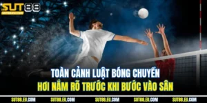 Toàn Cảnh Luật Bóng Chuyền Hơi Nắm Rõ Trước Khi Bước Vào Sân